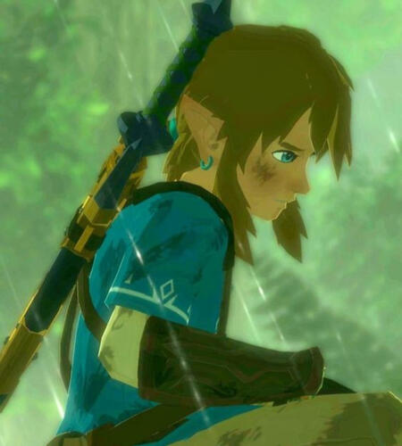 Link breath of the wild